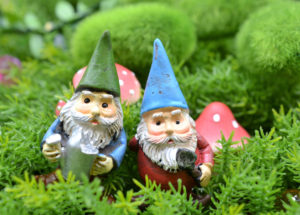 No Place Like Gnome